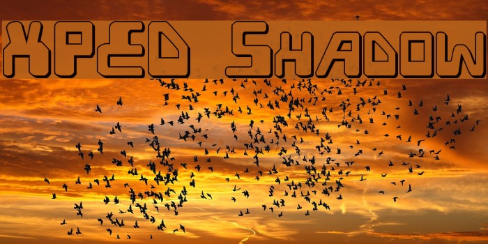 XPED Shadow Font examples