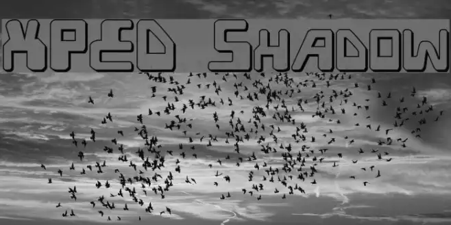 XPED Shadow Example 2