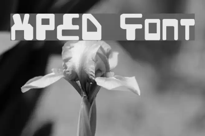 XPED Font examples