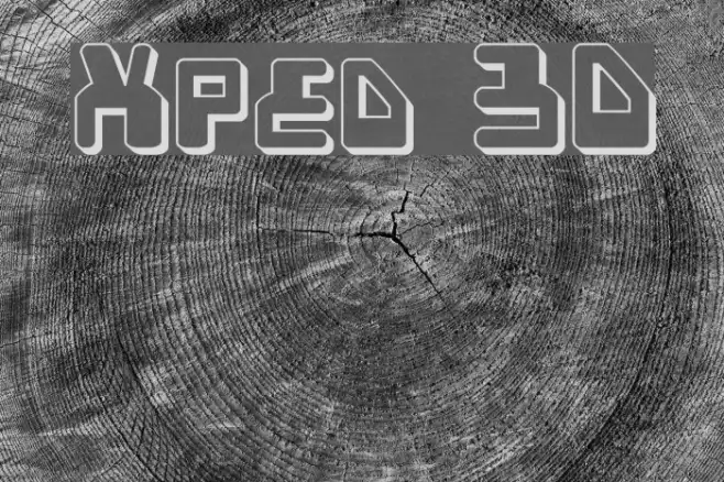 Xped 3D Example 1