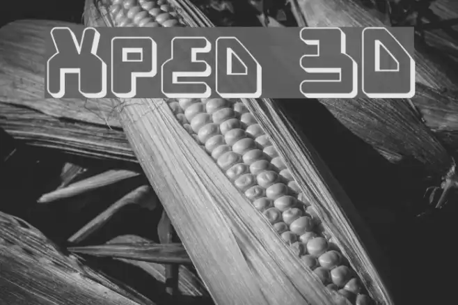 Xped 3D Example 3