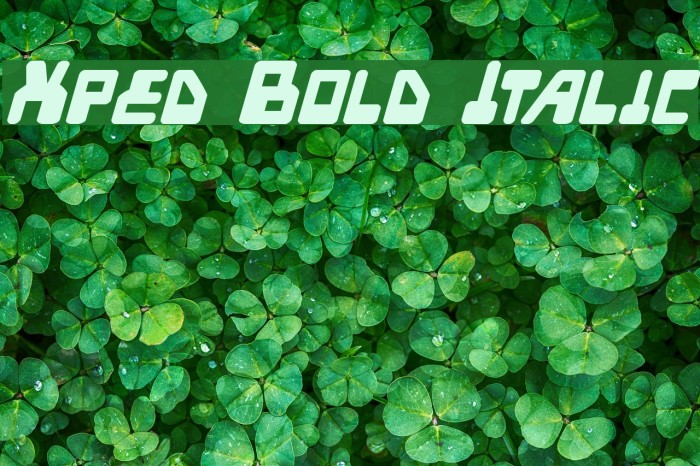 Xped Bold Italic Font examples