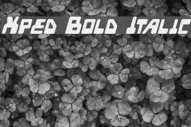 Xped Bold Italic Example 2