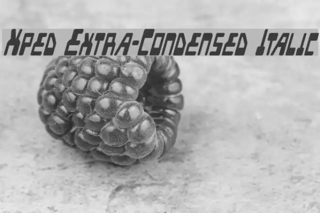 Xped Extra-Condensed Italic Font examples