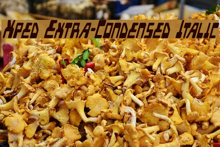 Xped Extra-Condensed Italic Example 3
