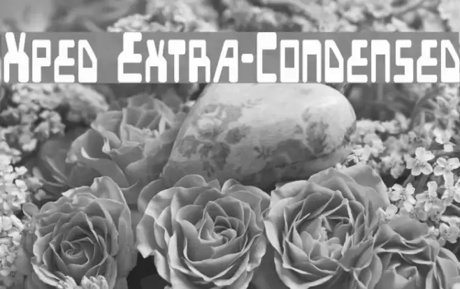 Xped Extra-Condensed Font examples