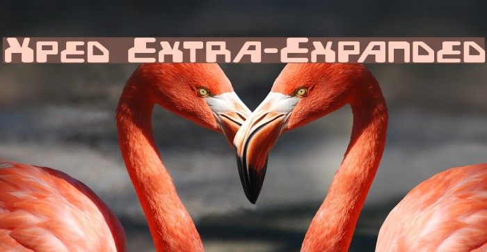 Xped Extra-Expanded Font examples