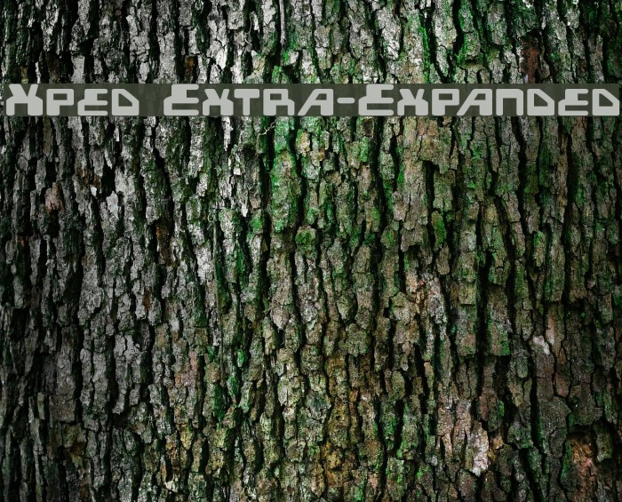 Xped Extra-Expanded Font examples