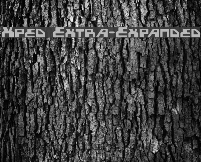 Xped Extra-Expanded Example 3