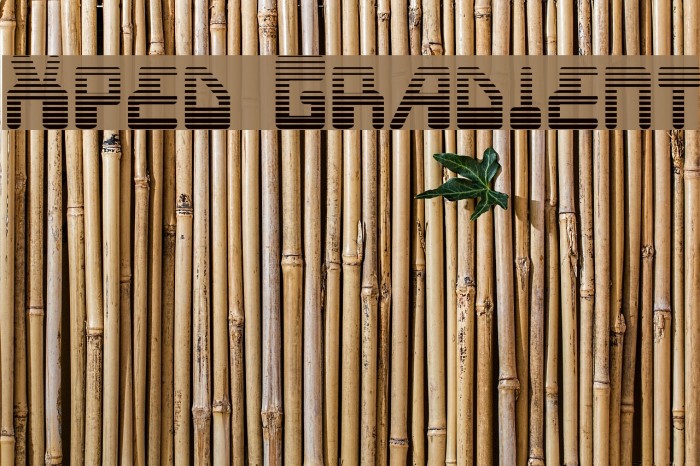 Xped Gradient Example 1