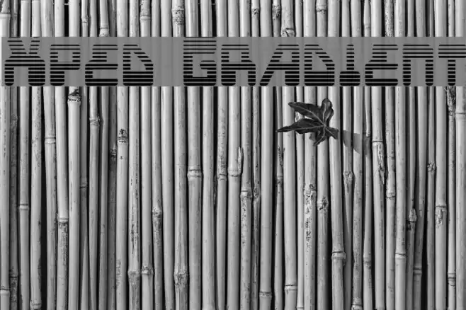 Xped Gradient Font examples