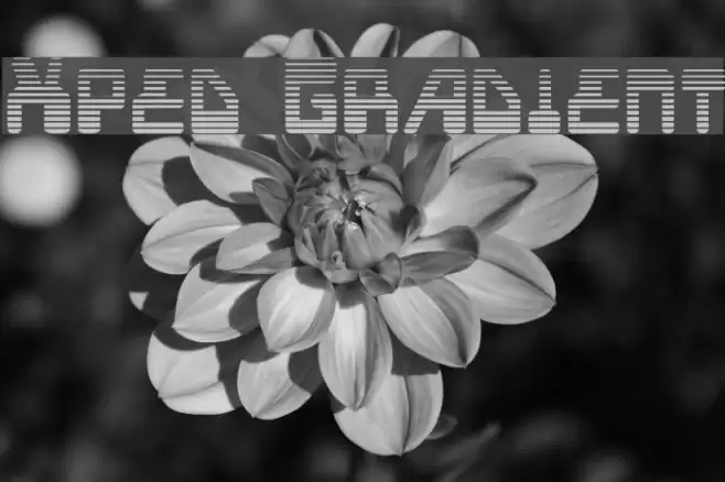 Xped Gradient Font examples