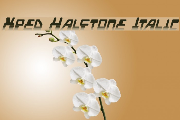 Xped Halftone Italic Example 1