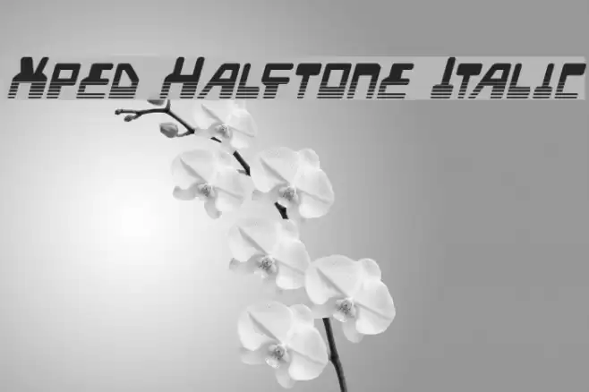 Xped Halftone Italic Font examples
