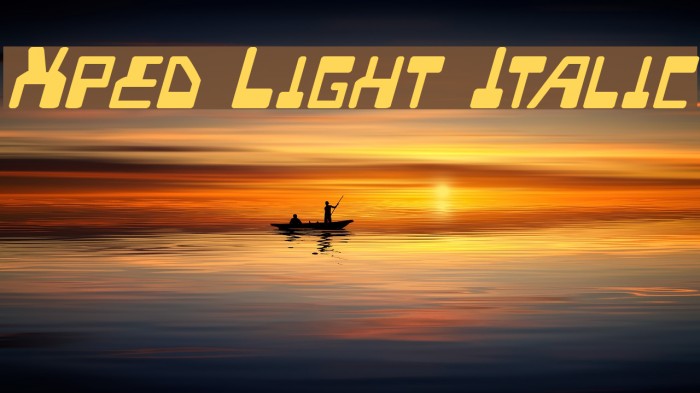 Xped Light Italic Font examples
