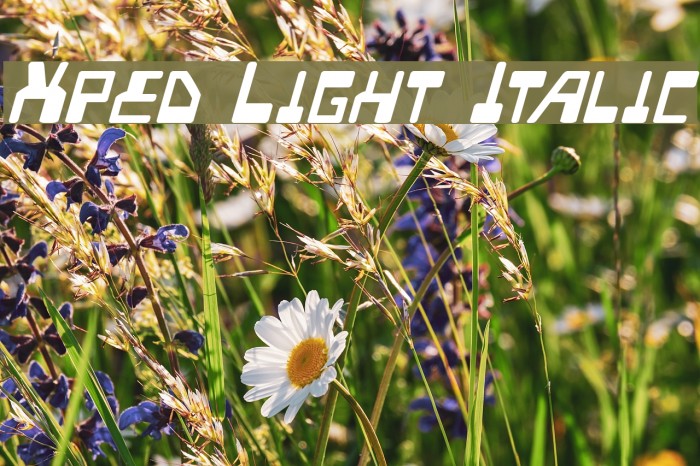 Xped Light Italic Font examples