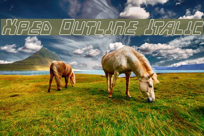 Xped Outline Italic Example 1