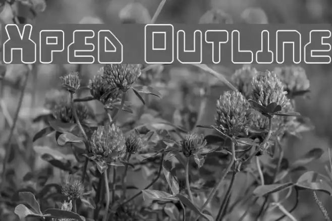 Xped Outline Example 1
