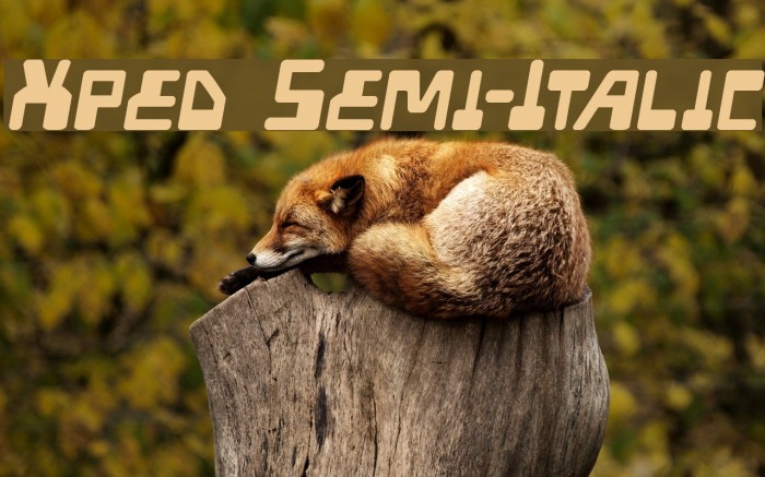 Xped Semi-Italic Example 2