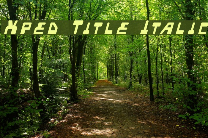 Xped Title Italic Font examples