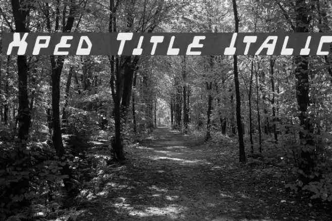 Xped Title Italic Example 2