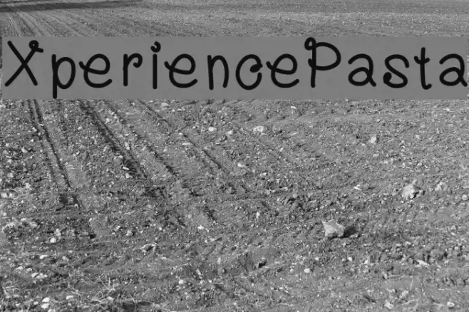 XperiencePasta Font examples