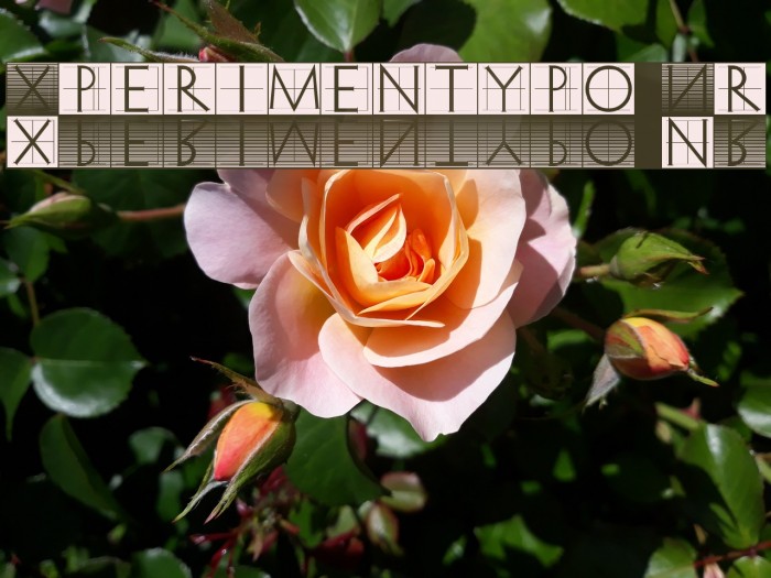 Xperimentypo Nr1 Font examples