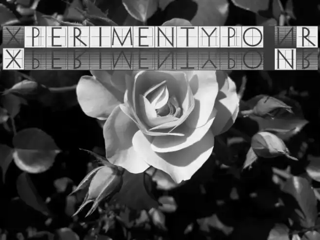 Xperimentypo Nr1 Example 1