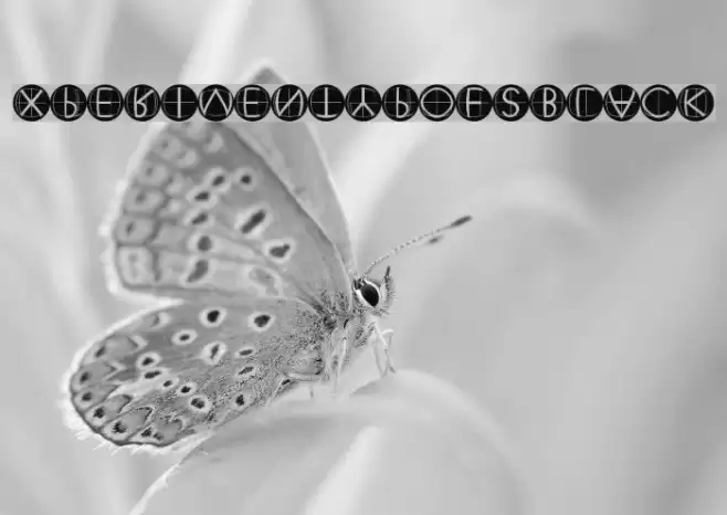 XperimentypoFSBlack Font examples