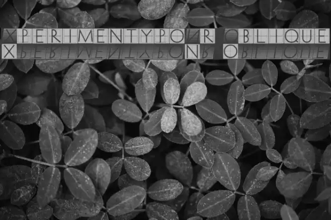 XperimentypoNr1 Oblique Font examples