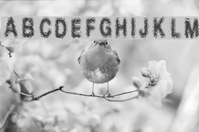 Xplosion_demo Regular Font examples