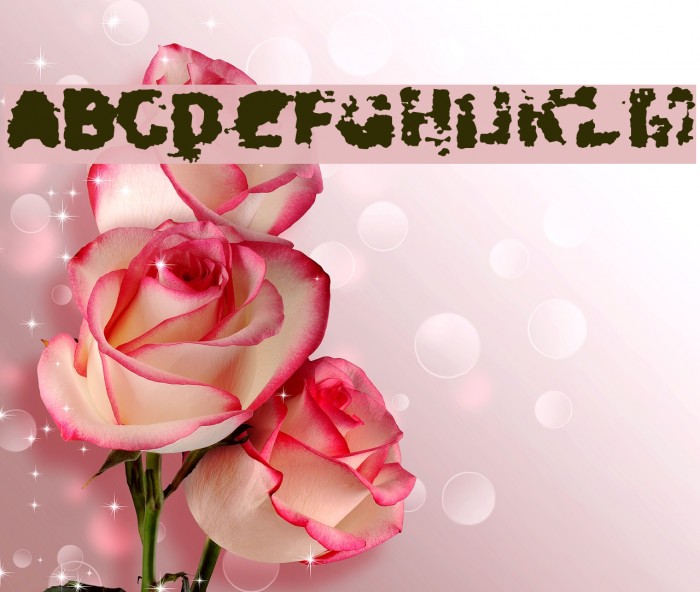 Xposed Font examples