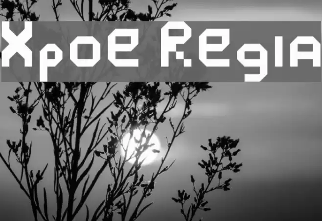 Xposure Regular Font examples