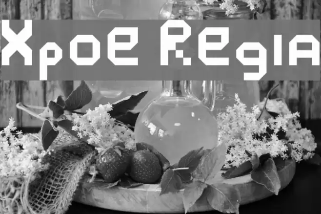 Xposure Regular Font examples