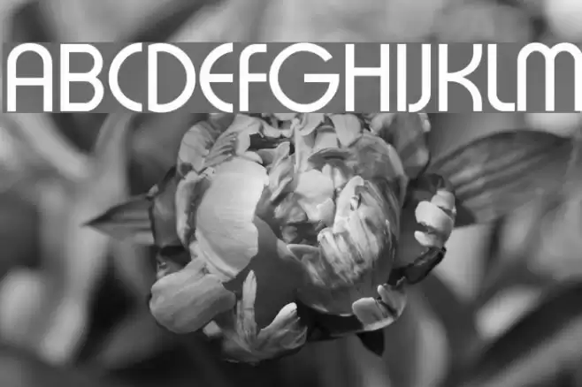 Xpressive Font examples