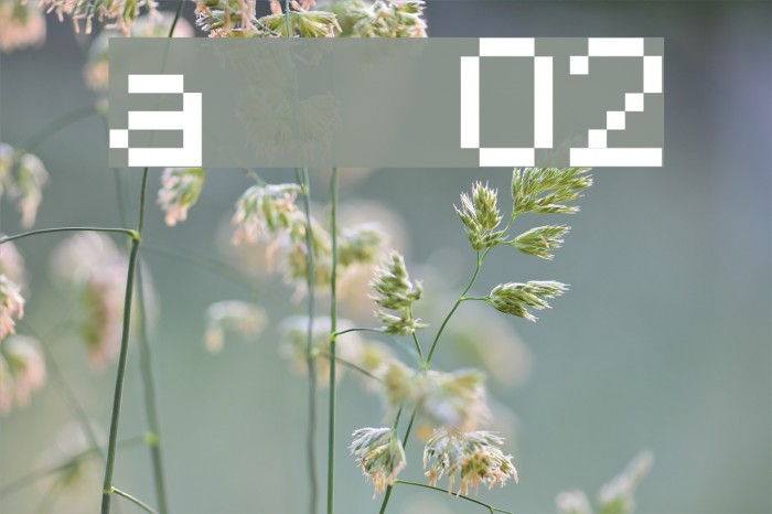 xpaider pixel explosion 02 Font examples
