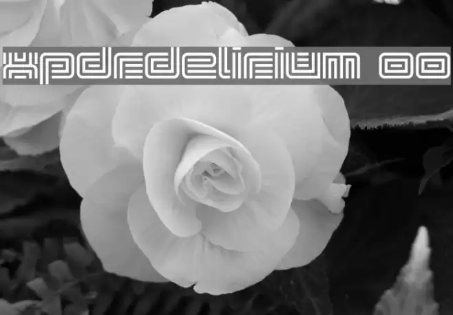 xpdr_delirium 00 Font examples