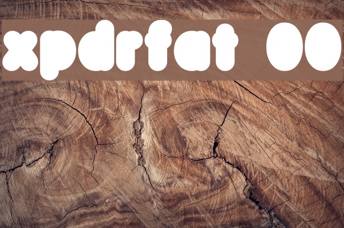 xpdr_fat 00 Font examples