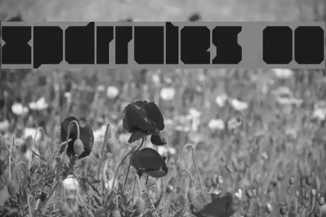 xpdr_rules 00 Font examples