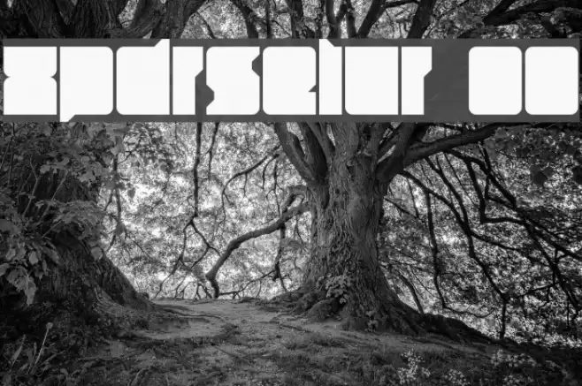 xpdr_selur 00 Font examples