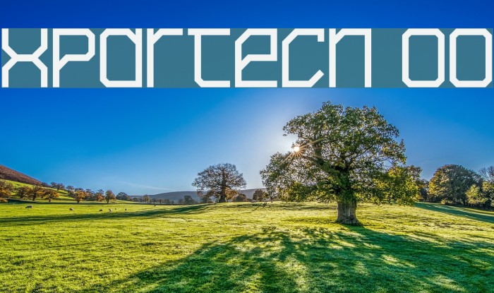 xpdr_tech 00 Font examples