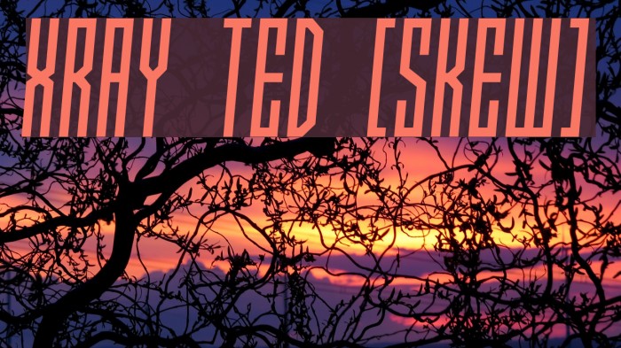 Xray Ted [skew] Example 1