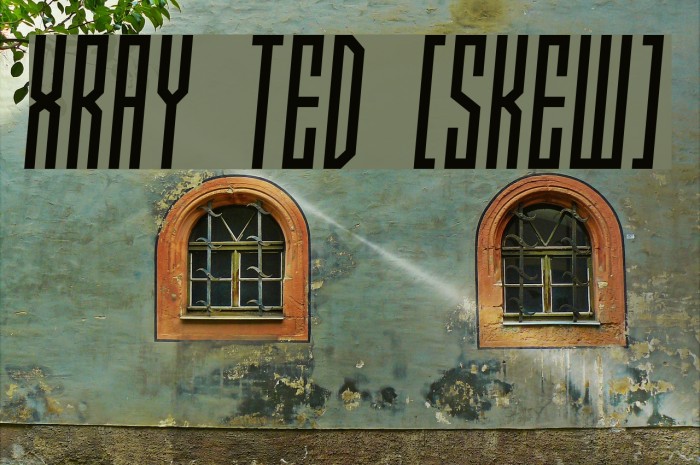 Xray Ted [skew] Example 2