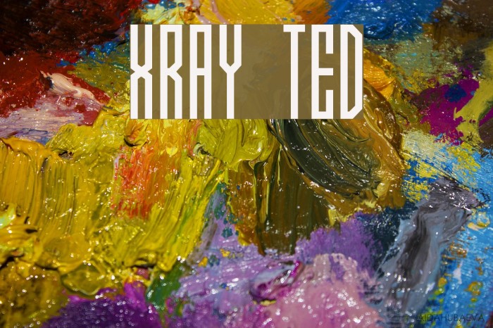 Xray Ted Font examples