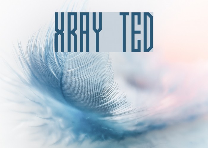 Xray Ted Font examples