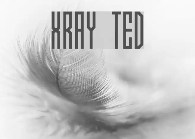 Xray Ted Example 2
