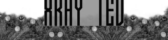Xray Ted Example 3