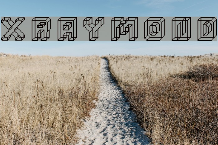 xraymond Font examples
