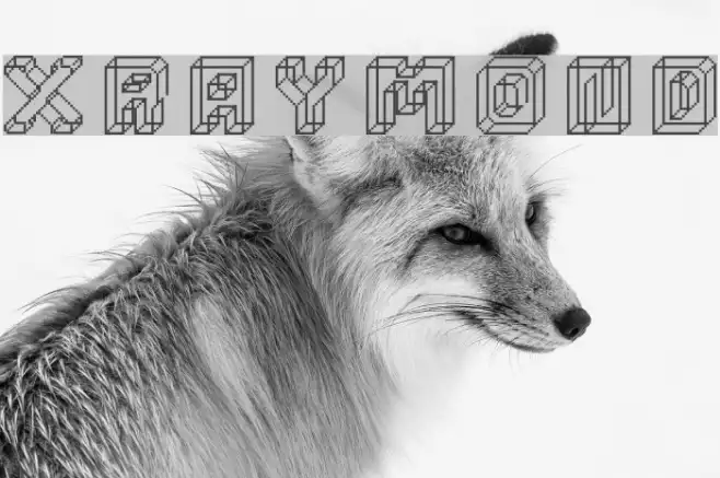 xraymond Example 2