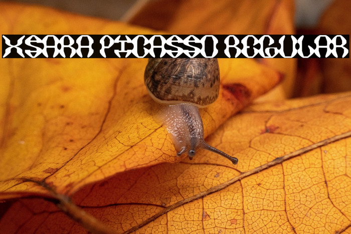 XSARA PICASSO Regular Example 1